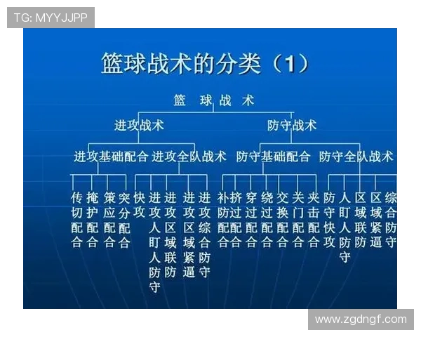 成都篮球队技术分析与战术探讨：从基础到进阶的全面解读